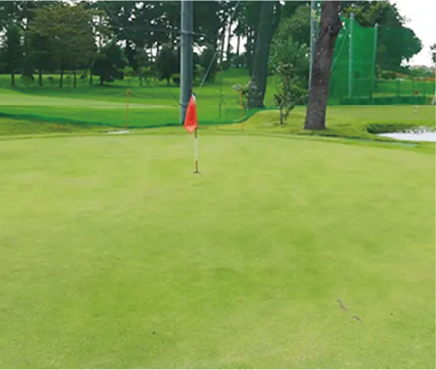 パッティンググリーン