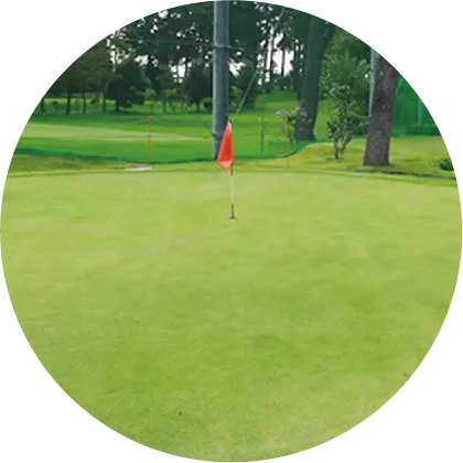 パッティンググリーン